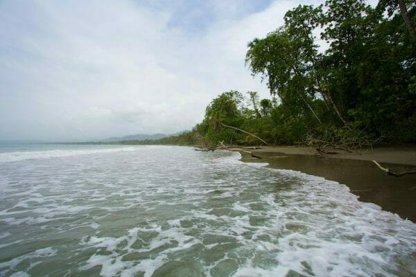 Costa Rica roadtrip: Strand im Cahuita NP