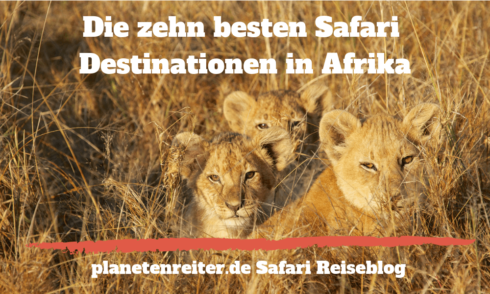 Safari In Afrika