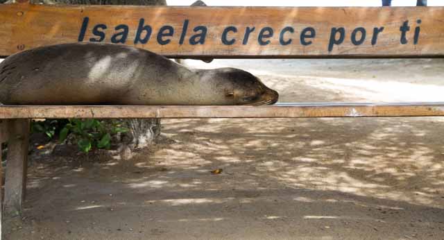 Reiseblog Galapagos